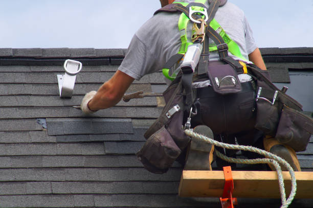 Best Metal Roofing Contractor  in New Bern, NC