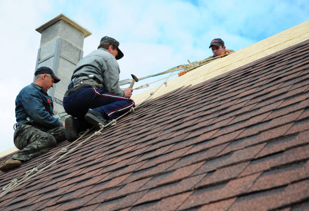 Best Gutter Installation and Roofing  in New Bern, NC